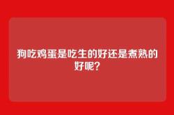 狗吃鸡蛋是吃生的好还是煮熟的好呢？