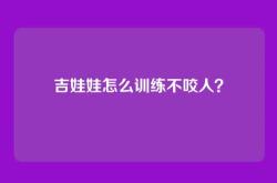 吉娃娃怎么训练不咬人？