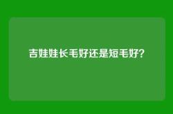 吉娃娃长毛好还是短毛好？