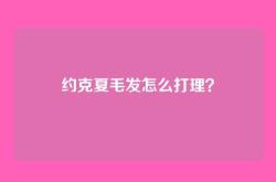约克夏毛发怎么打理？