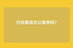 约克夏适合公寓养吗？