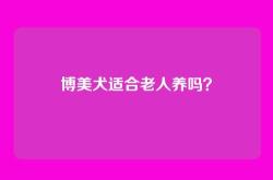 博美犬适合老人养吗？