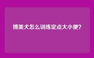博美犬怎么训练定点大小便？