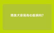 博美犬容易有心脏病吗？