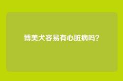 博美犬容易有心脏病吗？