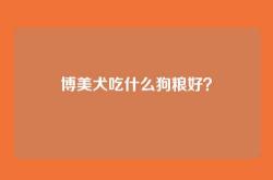 博美犬吃什么狗粮好？