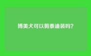 博美犬可以剪泰迪装吗？