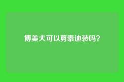 博美犬可以剪泰迪装吗？