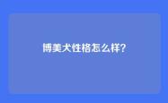 博美犬性格怎么样？