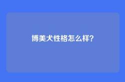 博美犬性格怎么样？