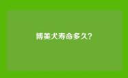 博美犬寿命多久？