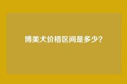 博美犬价格区间是多少？