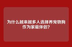 为什么越来越多人选择养宠物狗作为家庭伴侣？