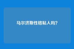 马尔济斯性格粘人吗？