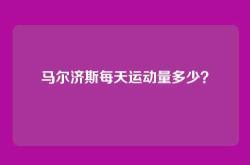 马尔济斯每天运动量多少？