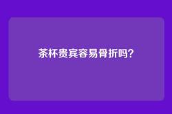 茶杯贵宾容易骨折吗？