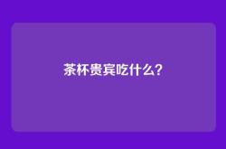 茶杯贵宾吃什么？