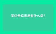 茶杯贵宾容易有什么病？