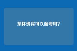 茶杯贵宾可以遛弯吗？