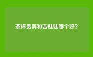 茶杯贵宾和吉娃娃哪个好？