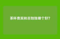 茶杯贵宾和吉娃娃哪个好？