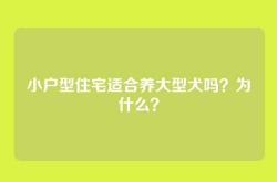 小户型住宅适合养大型犬吗？为什么？