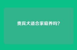 贵宾犬适合家庭养吗？