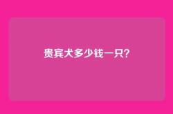 贵宾犬多少钱一只？
