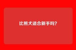 比熊犬适合新手吗？
