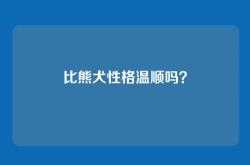 比熊犬性格温顺吗？