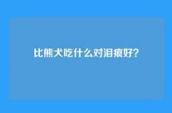 比熊犬吃什么对泪痕好？