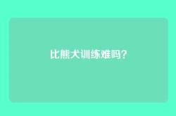 比熊犬训练难吗？