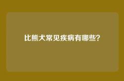 比熊犬常见疾病有哪些？