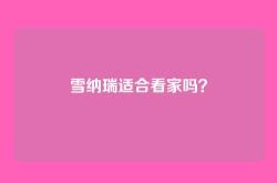 雪纳瑞适合看家吗？