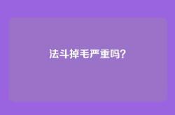 法斗掉毛严重吗？