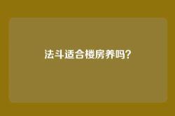 法斗适合楼房养吗？