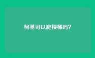 柯基可以爬楼梯吗？