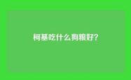 柯基吃什么狗粮好？
