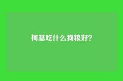 柯基吃什么狗粮好？