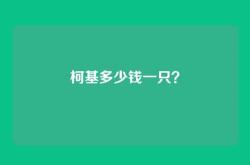 柯基多少钱一只？