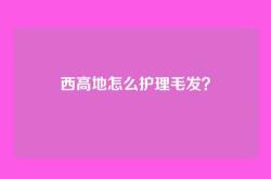 西高地怎么护理毛发？