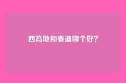 西高地和泰迪哪个好？