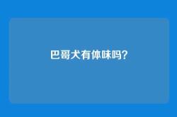 巴哥犬有体味吗？