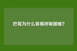 巴哥为什么容易呼吸困难？