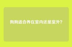 狗狗适合养在室内还是室外？
