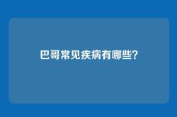 巴哥常见疾病有哪些？