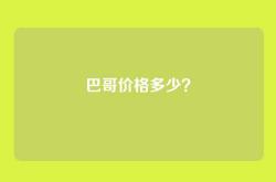 巴哥价格多少？