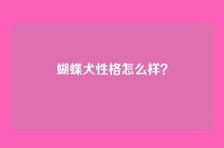 蝴蝶犬性格怎么样？