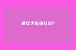 蝴蝶犬有体味吗？