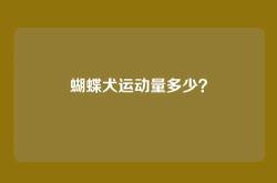 蝴蝶犬运动量多少？